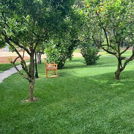 Il Podere * ألغيرو